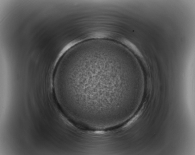 X0000086031226200703301047