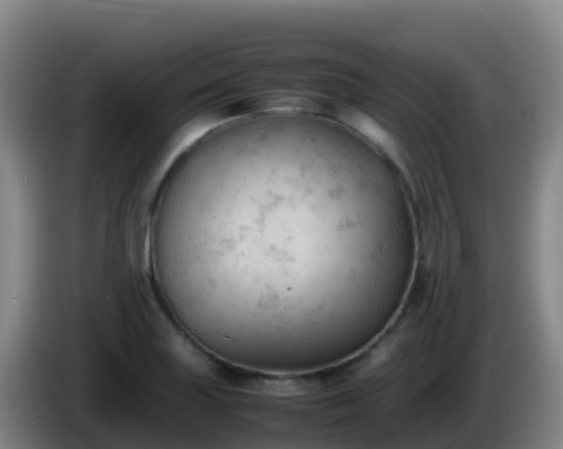 X0000086031227200703301047