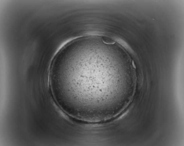X0000086031228200703301047