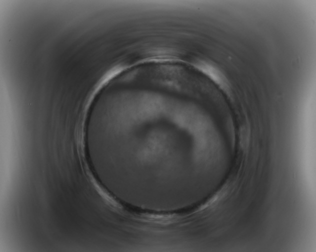 X0000086031229200703301047