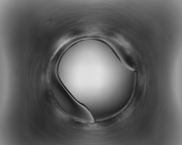 X0000086031230200703301047