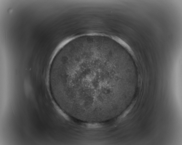 X0000086031231200703301047
