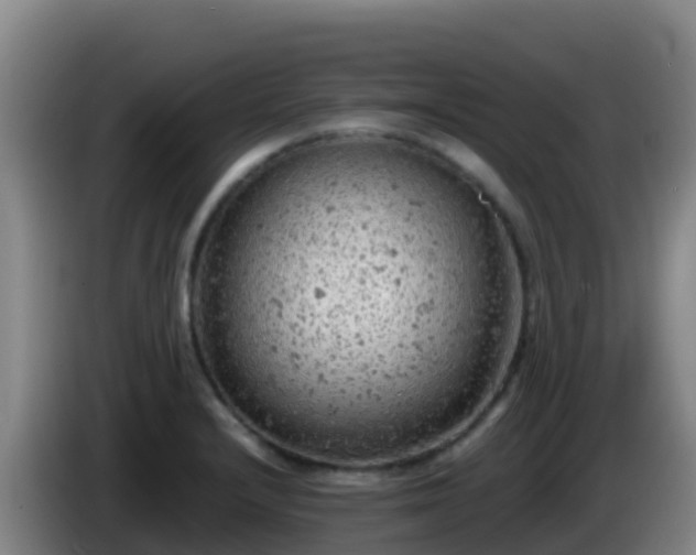X0000086031232200703301047