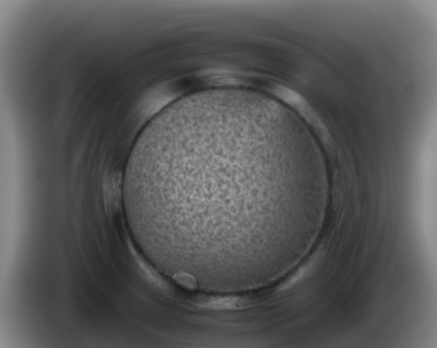 X0000086031233200703301047