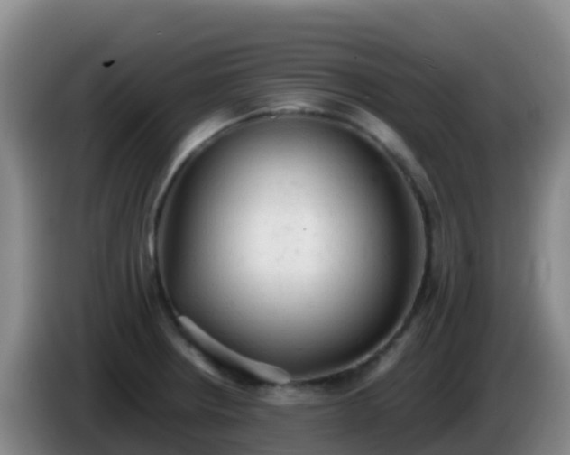 X0000086031234200703301047