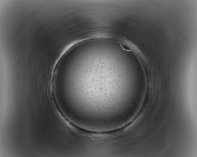 X0000086031236200703301047
