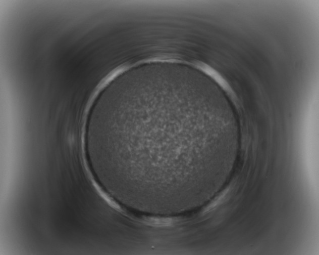 X0000086031237200703301047