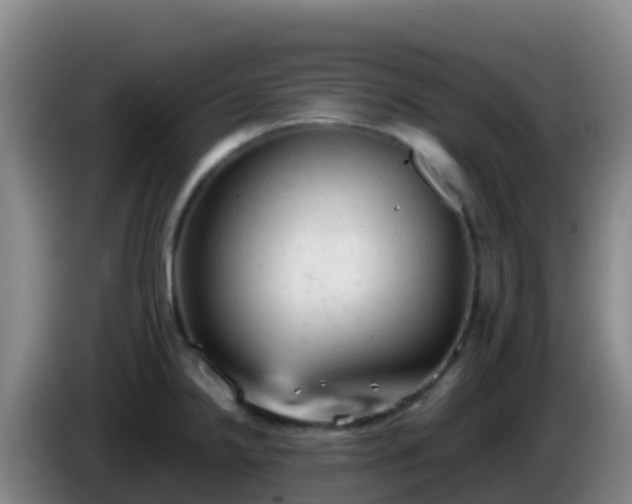 X0000086031238200703301047