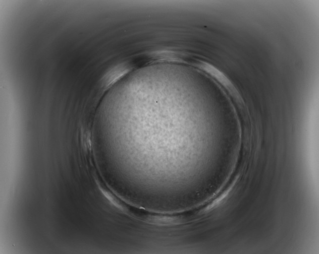X0000086031241200703301047