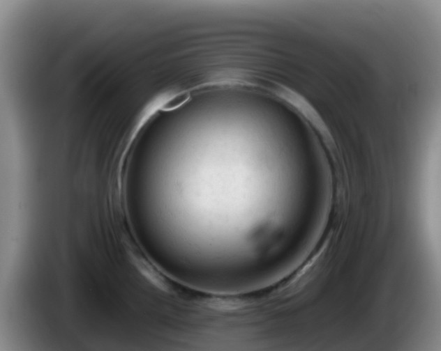 X0000086031242200703301047