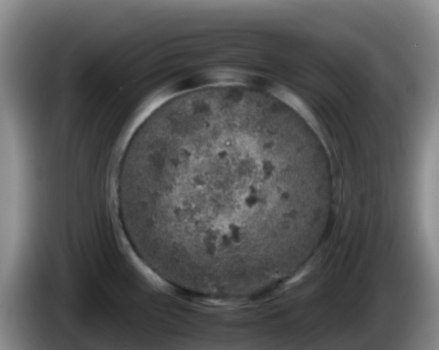X0000086031243200703301047