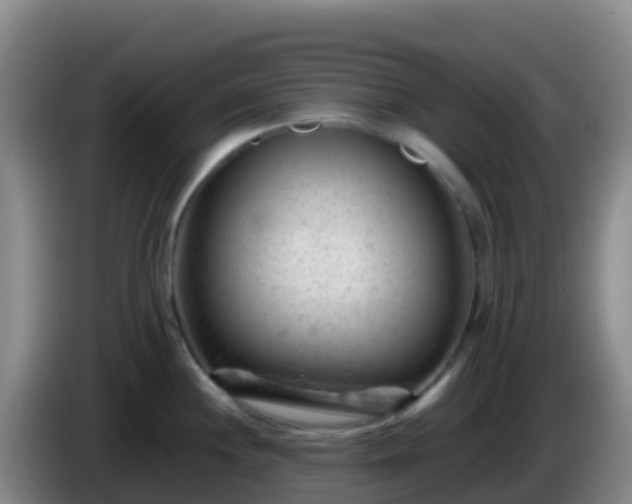 X0000086031244200703301047