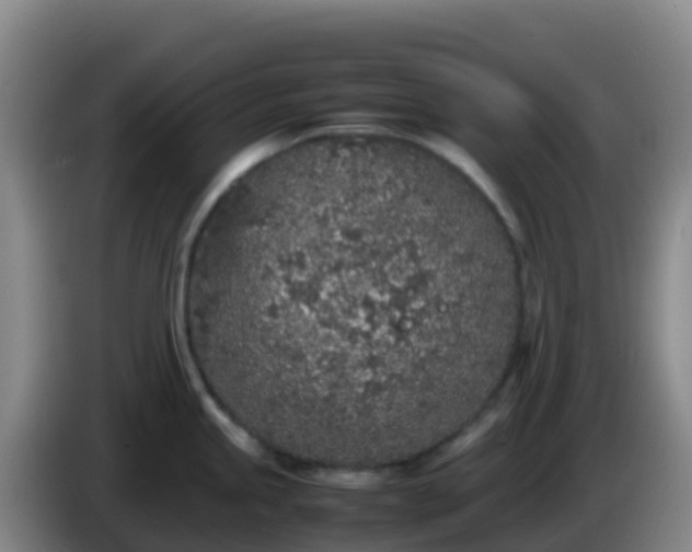 X0000086031245200703301047