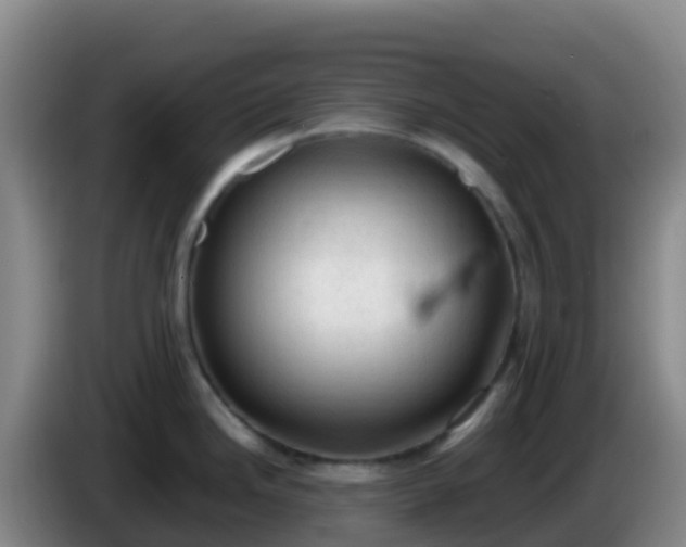 X0000086031246200703301047