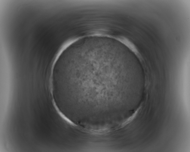 X0000086031247200703301047