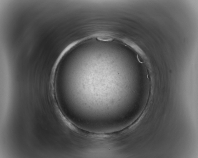 X0000086031248200703301047