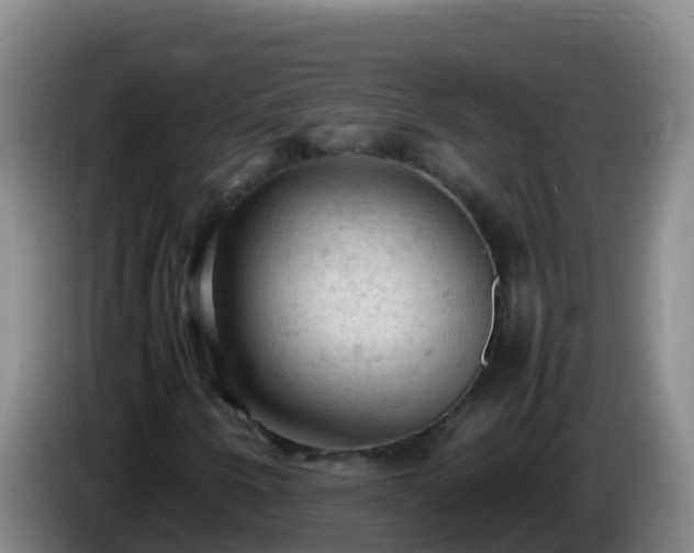 X0000086031250200703301046
