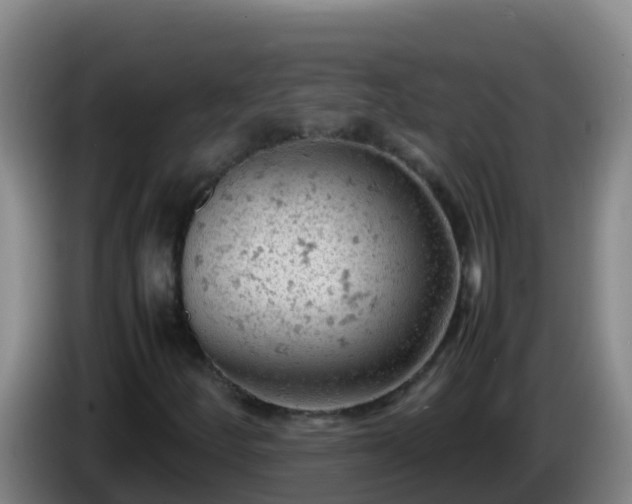 X0000086031252200703301046