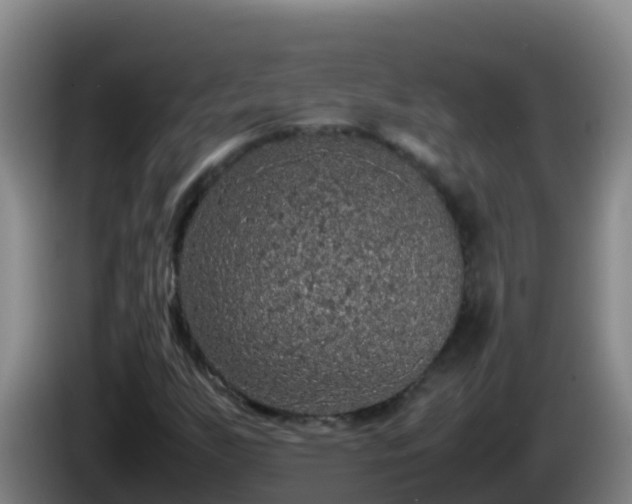 X0000086031255200703301046