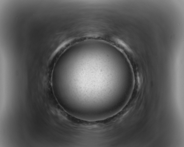 X0000086031256200703301046