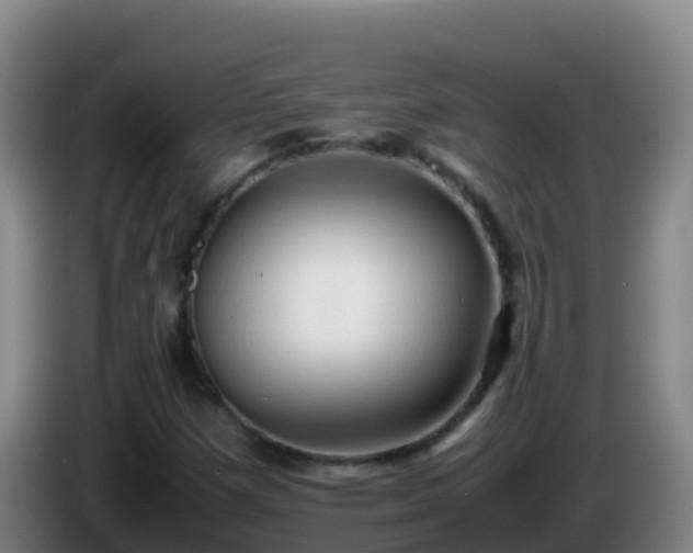 X0000086031257200703301046