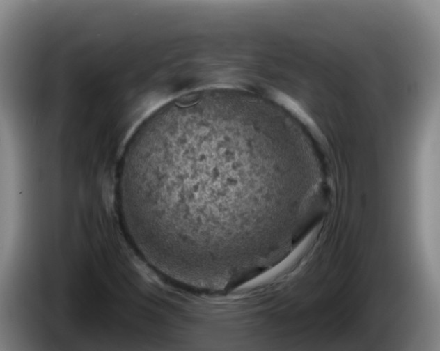 X0000086031260200703301046