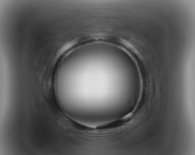 X0000086031261200703301046