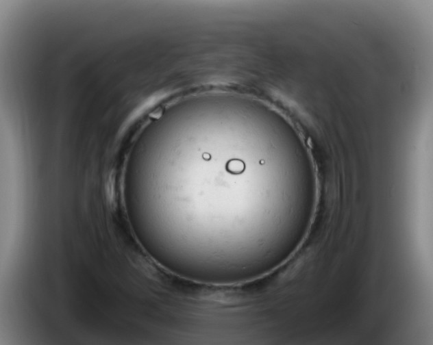 X0000086031262200703301046