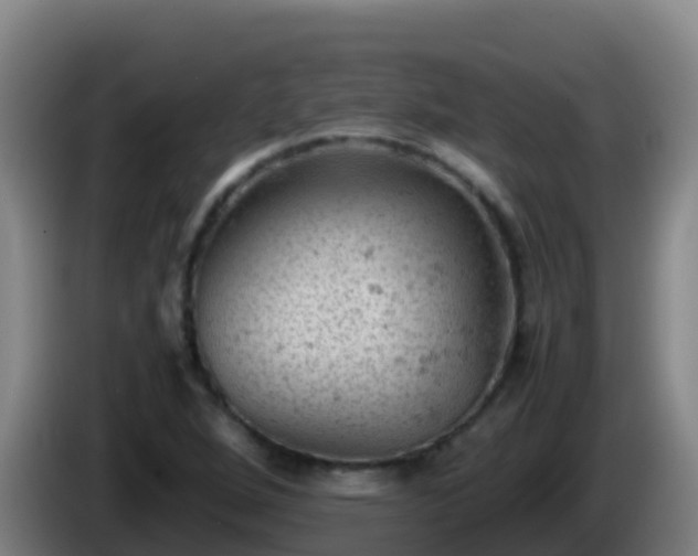 X0000086031264200703301046