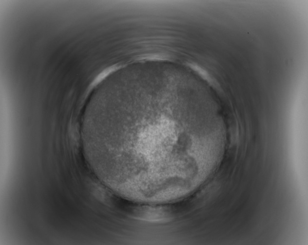 X0000086031266200703301046