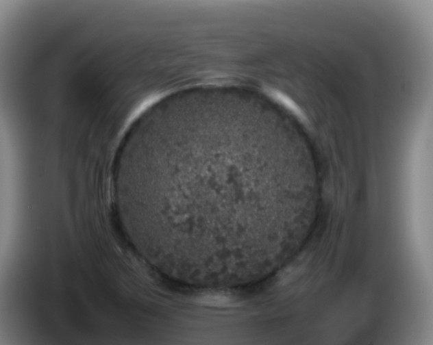X0000086031267200703301046