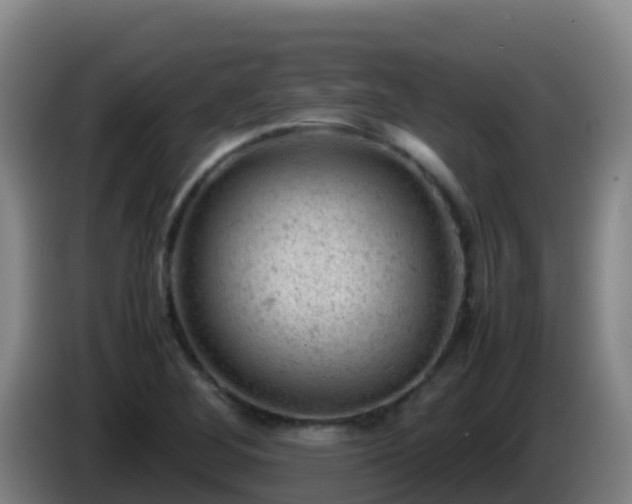 X0000086031268200703301046