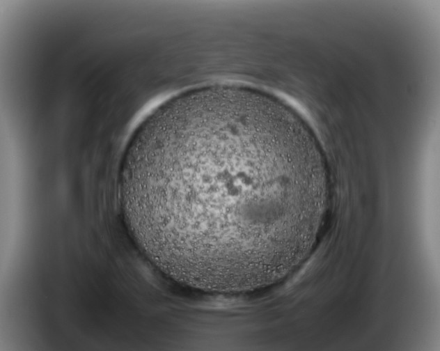 X0000086031271200703301046