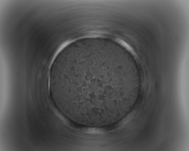 X0000086031275200703301046