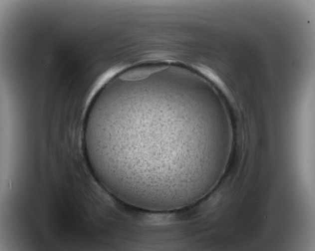 X0000086031277200703301046