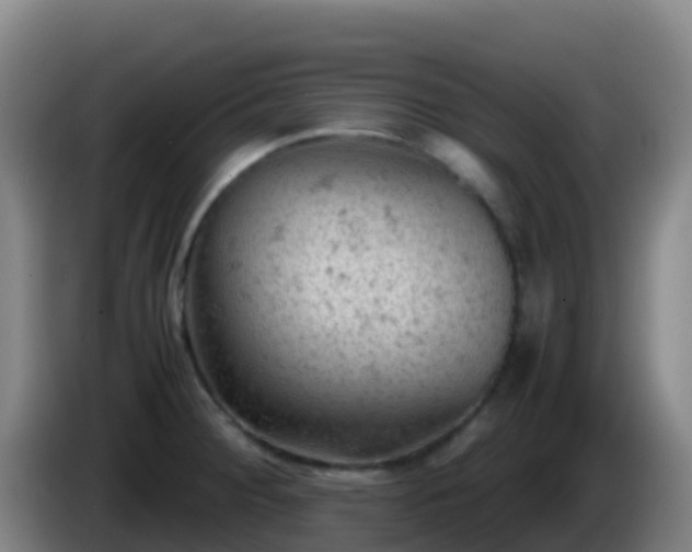 X0000086031284200703301046