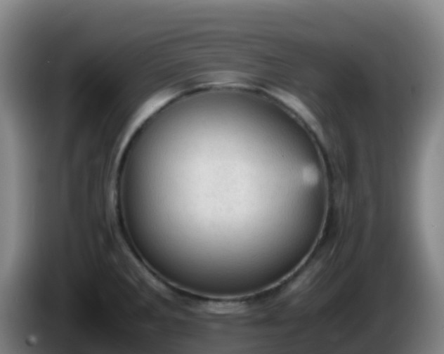 X0000086031285200703301046