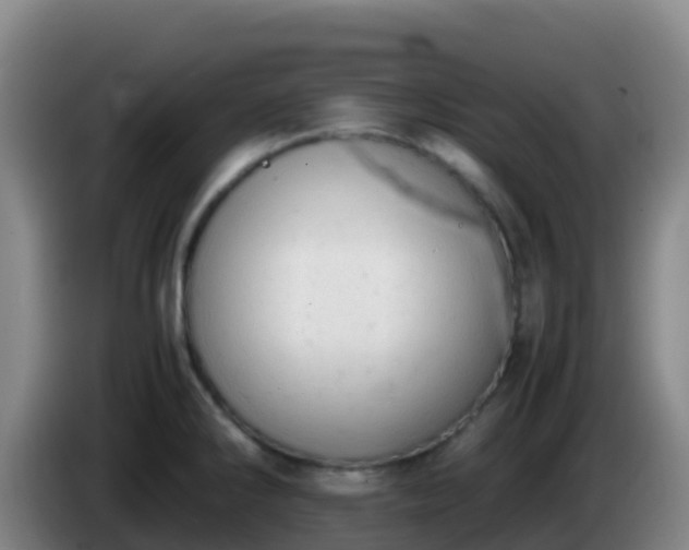 X0000086031286200703301046