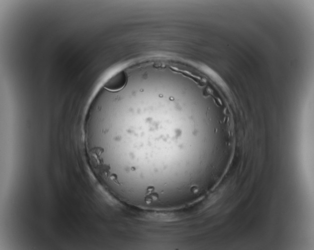 X0000086031287200703301046