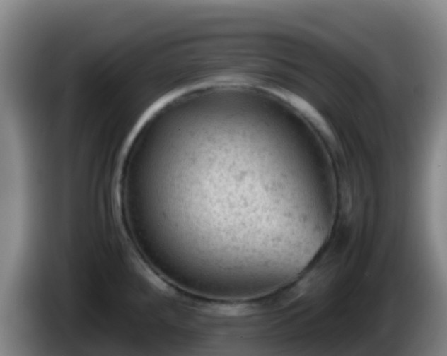 X0000086031288200703301046