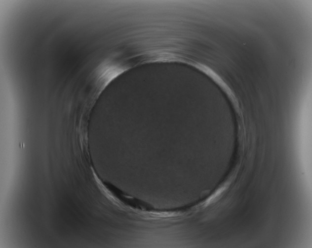 X0000086031289200703301046