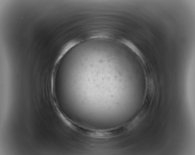 X0000086031290200703301046