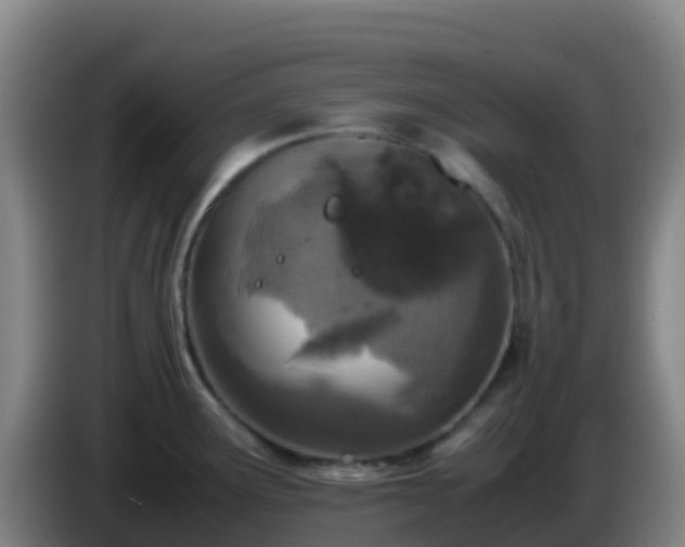 X0000086031291200703301046
