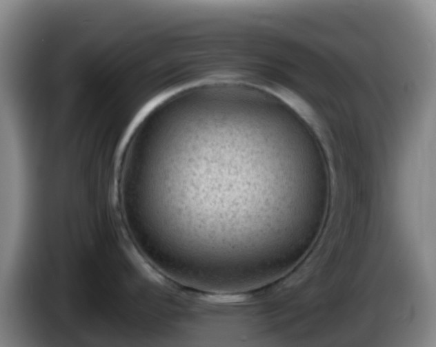 X0000086031296200703301046