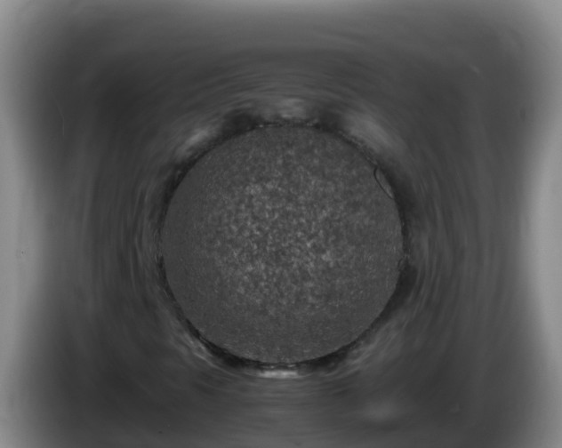 X0000086031297200703301045