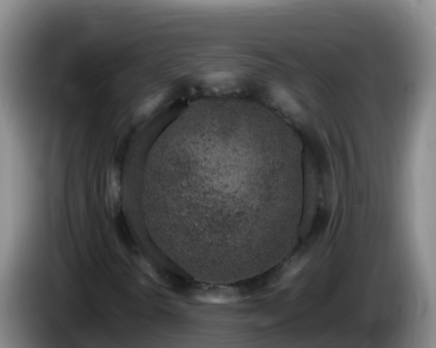 X0000086031298200703301045