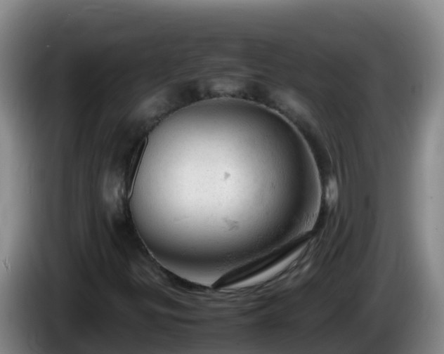 X0000086031299200703301045