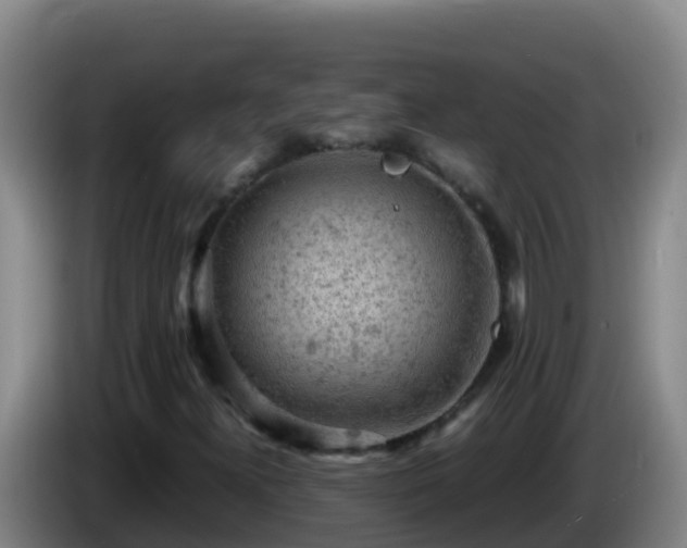 X0000086031300200703301045
