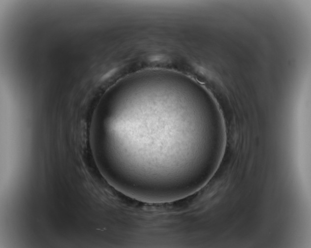 X0000086031301200703301045