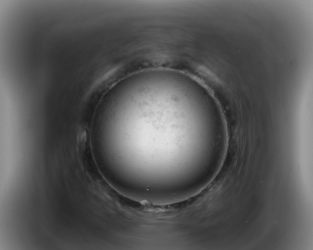 X0000086031302200703301045